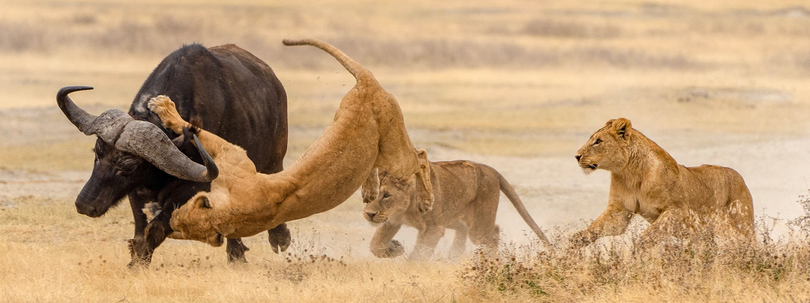 Katavi National Park