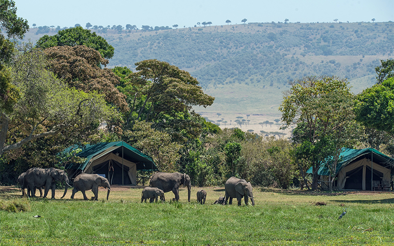 TARANGIRE NATIONAL PARK photo2