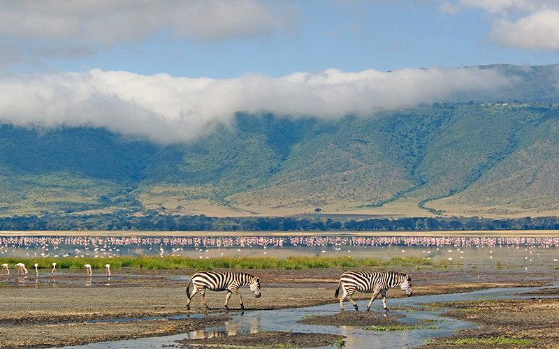 NGORONGORO CONSERVATION AREA photo1