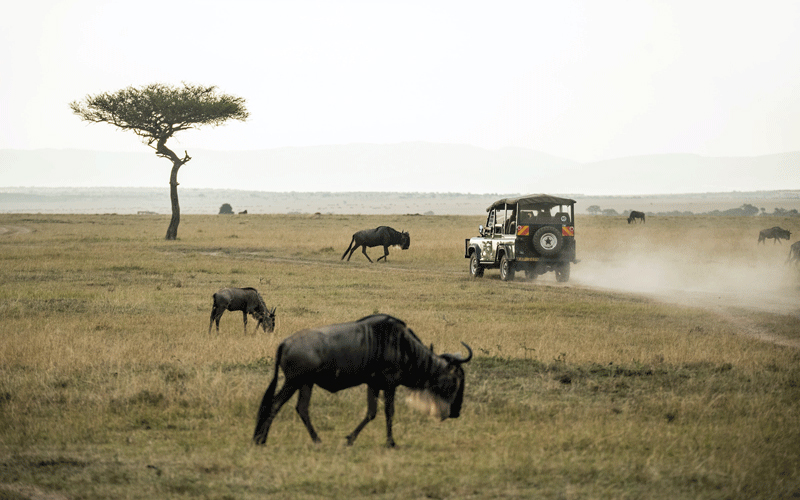 SERENGETI NATIONAL PARK photo1