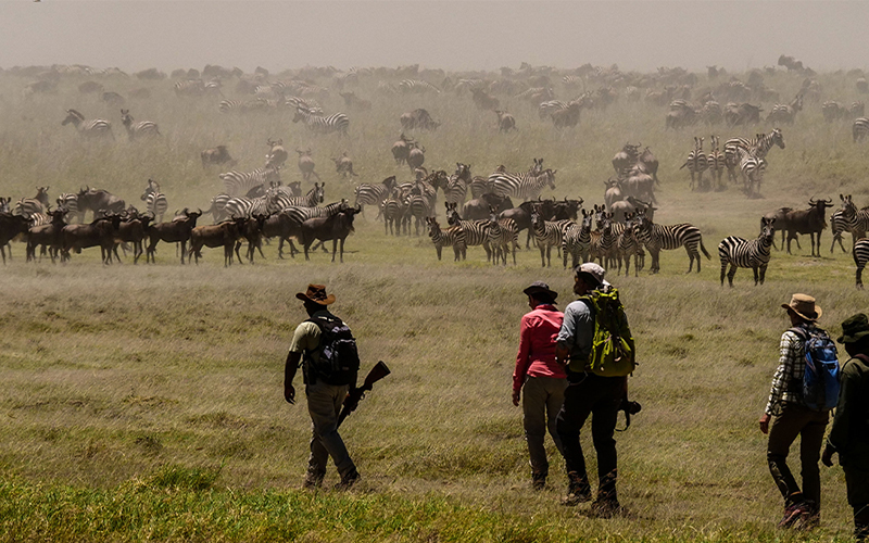 SERENGETI NATIONAL PARK CENTRAL (FULL DAY GAME DRIVE & WALKING SAFARI) photo1