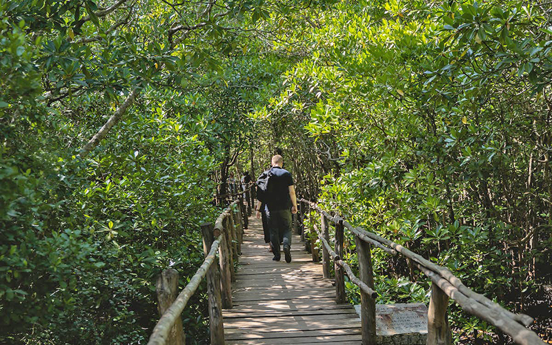 JOZANI FOREST WALK photo1