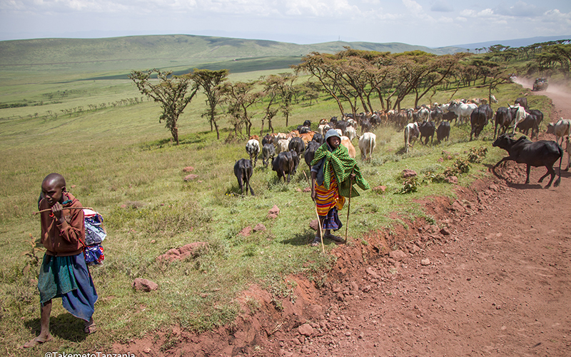 NGORONGORO CRATER photo2