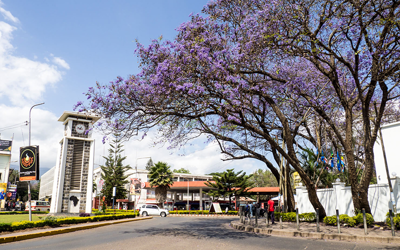 ARUSHA CITY TOUR  AND WATERFALL HIKE photo1