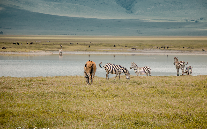 NGORONGORO CONSERVATION AREA photo2